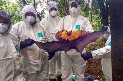 After UAE, Saudi bans products from Kerala over Nipah scare.