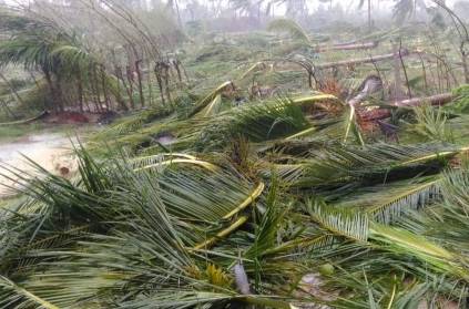 Gaja Cyclone will give heavy rains in following districts