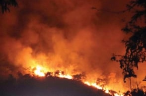 Theni forest fire: Death toll rises to 21!
