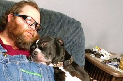 Pet dog accidentally pulls trigger, shoots owner in Iowa, US Pet dog accidentally pulls trigger, shoots owner in Iowa, US
