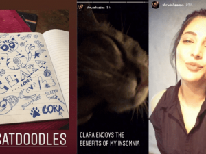 Shruthi Hassan does a cat doodle art during corona lockdown