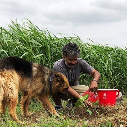 SS Rajamouli plants a sapling as part of the Haritha Haram challenge