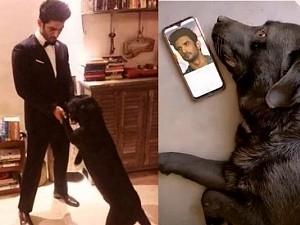 Heart-breaking video: Sushant Singh Rajput’s pet is completely shattered, tries to still find actor at house!